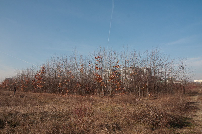 pipera-toboc-plumbuita-10-2