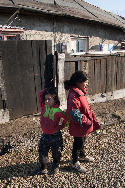 pipera-toboc-plumbuita-23-2