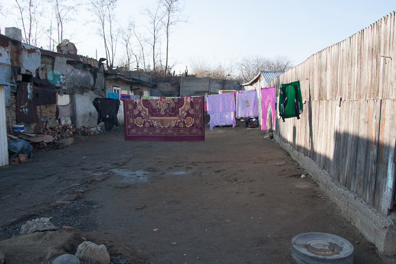 pipera-toboc-plumbuita-24-2