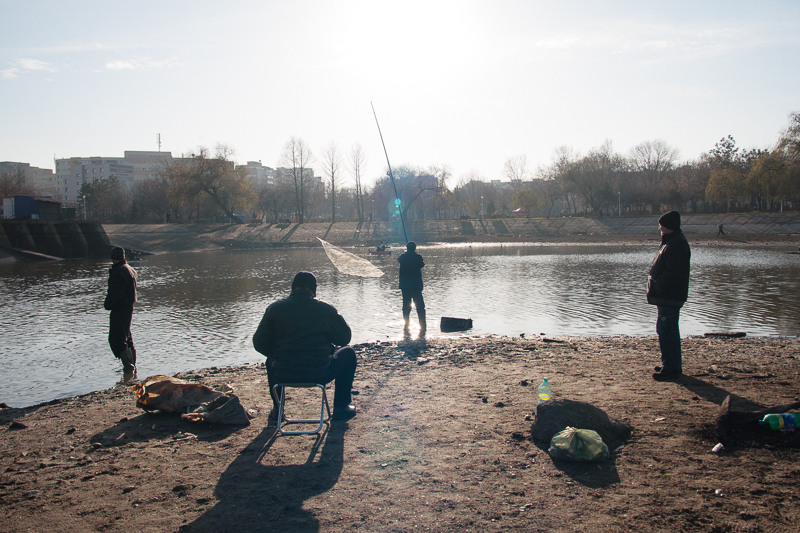 pipera-toboc-plumbuita-36-2