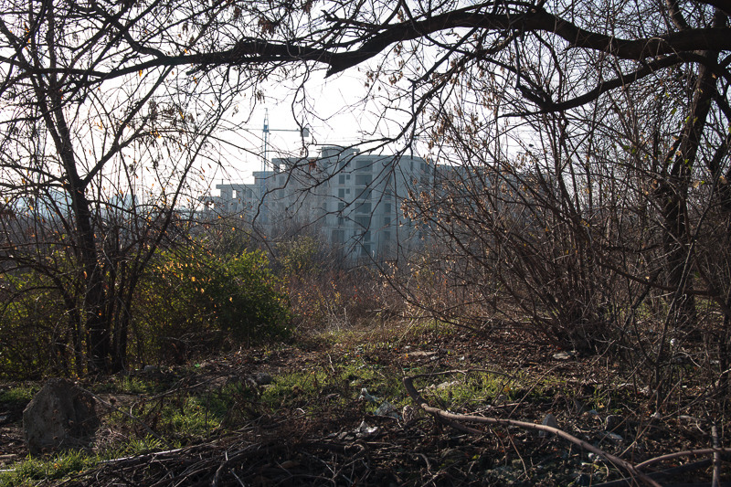 pipera-toboc-plumbuita-4-2