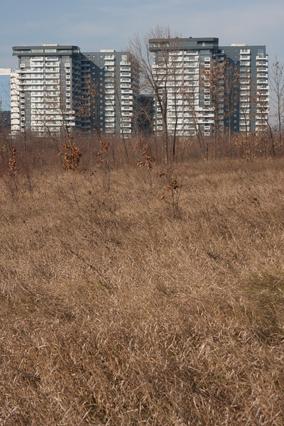 pipera-toboc-plumbuita-7-2