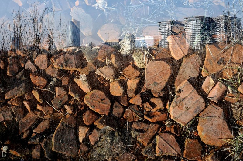 pipera-plumbuita-foto-lucian-muntean-02