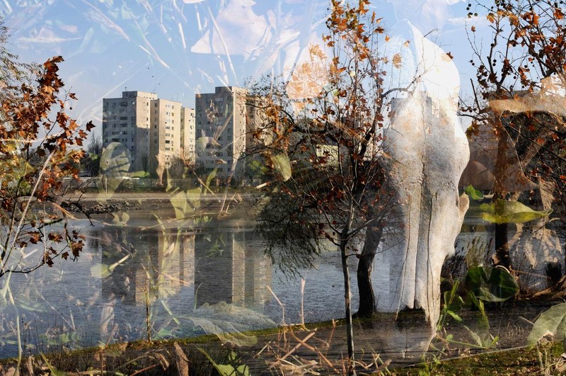 pipera-plumbuita-foto-lucian-muntean-05