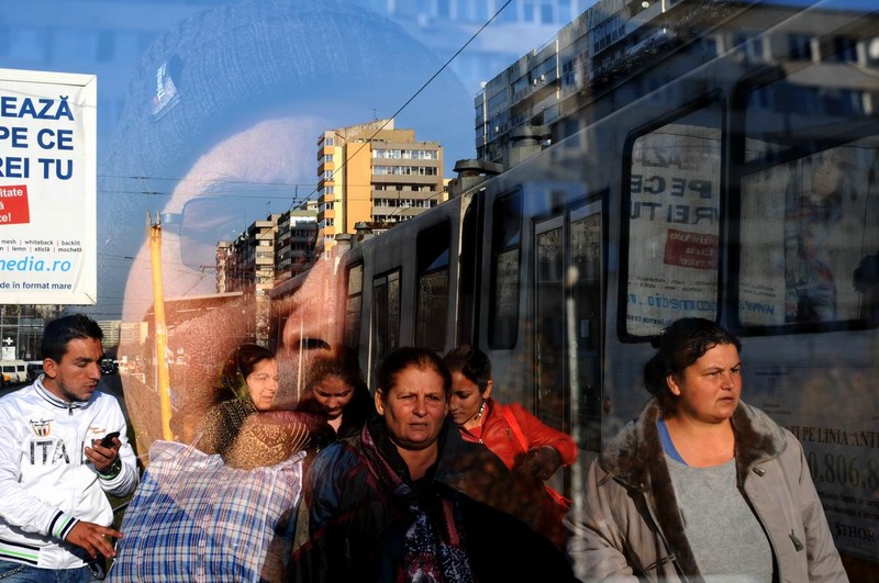 pipera-plumbuita-foto-lucian-muntean-07