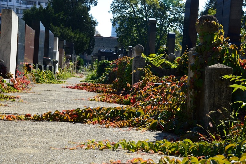 cimitirul-filantropia