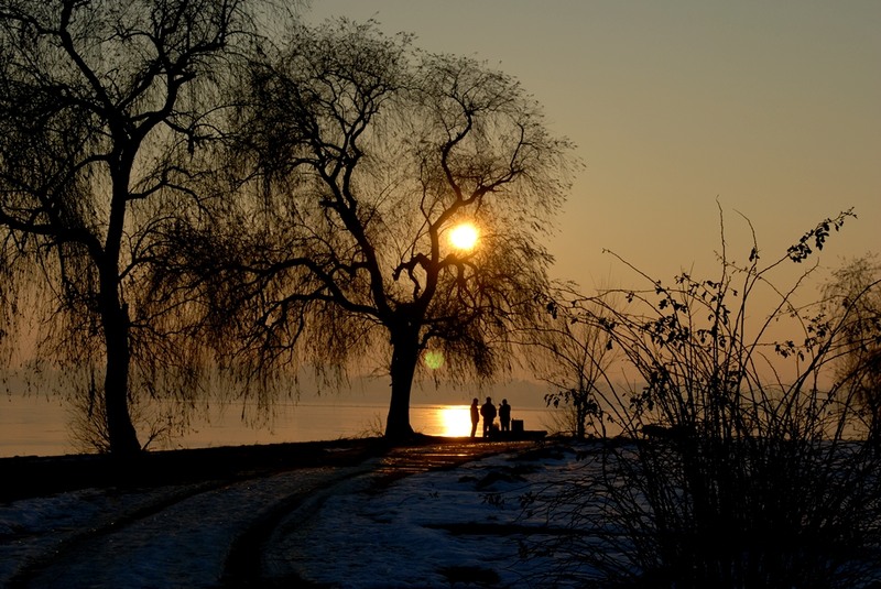 insula-de-pe-lacul-morii