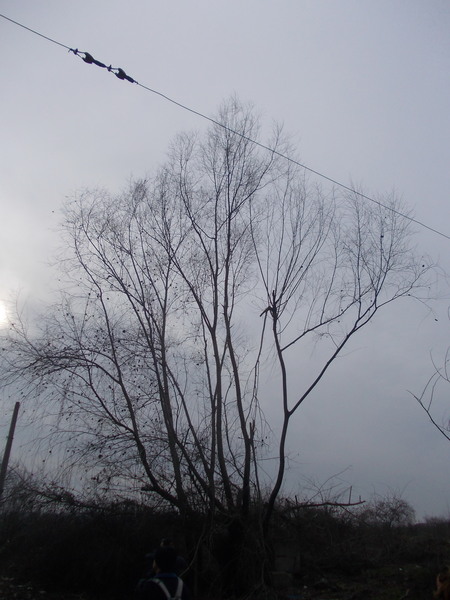 orientul-indepartat-009