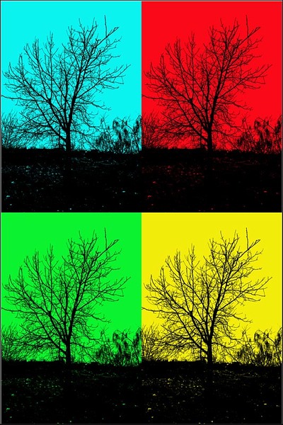 serbanvornicu_estextrem_03