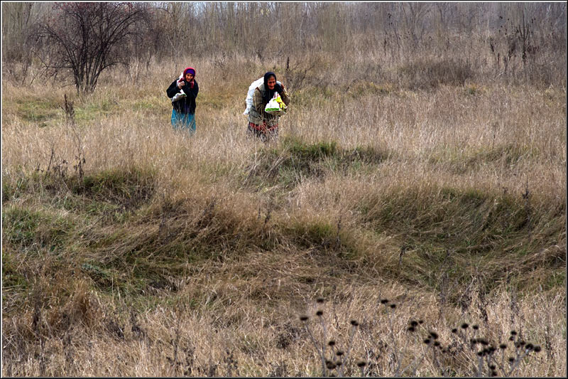 serbanvornicu_estextrem_07