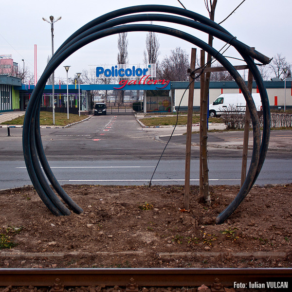 boschestul_bucurestiului_foto-by-iulian-vulcan-1