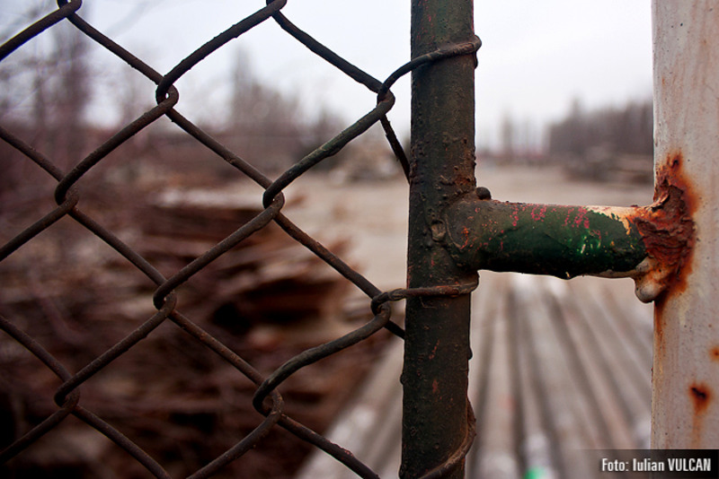 boschestul_bucurestiului_foto-by-iulian-vulcan-10