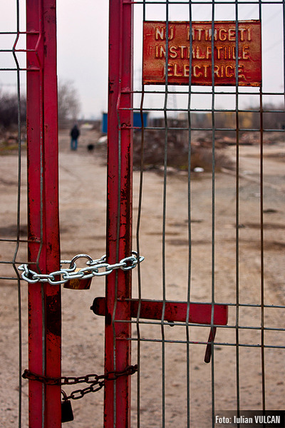 boschestul_bucurestiului_foto-by-iulian-vulcan-15