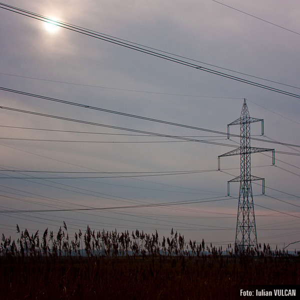 boschestul_bucurestiului_foto-by-iulian-vulcan-19