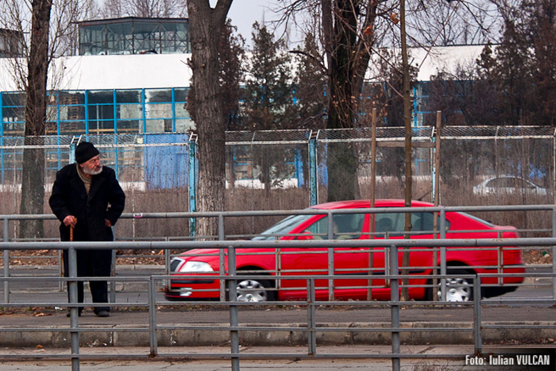 boschestul_bucurestiului_foto-by-iulian-vulcan-2