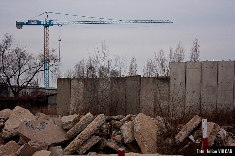 boschestul_bucurestiului_foto-by-iulian-vulcan-24