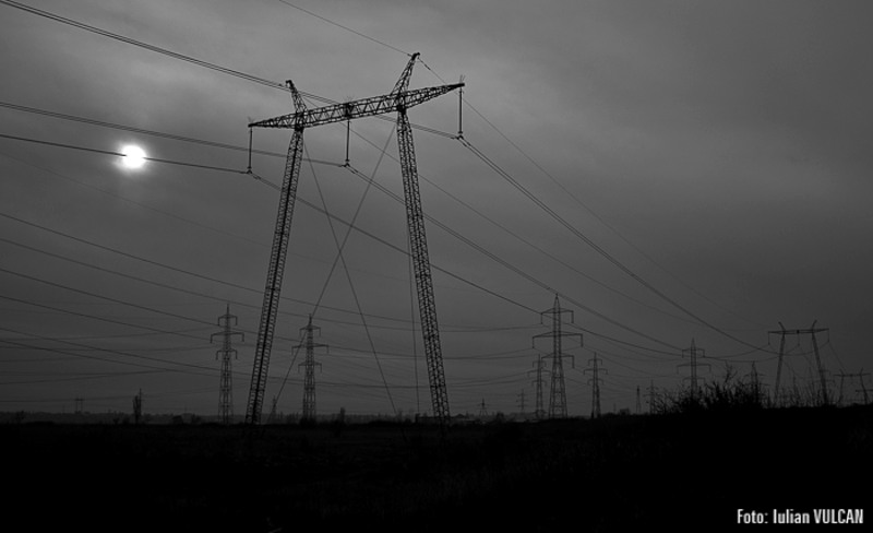 boschestul_bucurestiului_foto-by-iulian-vulcan-26