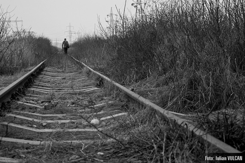 boschestul_bucurestiului_foto-by-iulian-vulcan-27