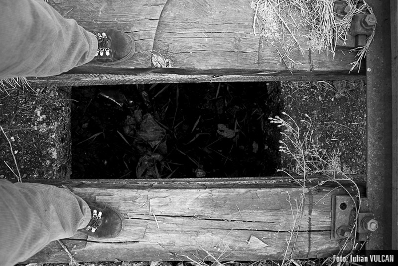 boschestul_bucurestiului_foto-by-iulian-vulcan-28