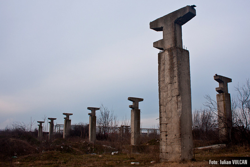 boschestul_bucurestiului_foto-by-iulian-vulcan-31