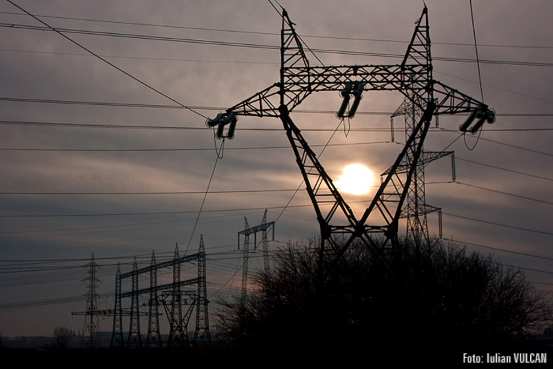 boschestul_bucurestiului_foto-by-iulian-vulcan-32