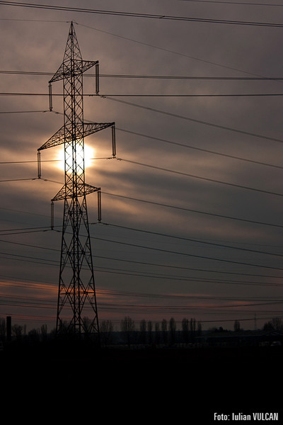 boschestul_bucurestiului_foto-by-iulian-vulcan-33