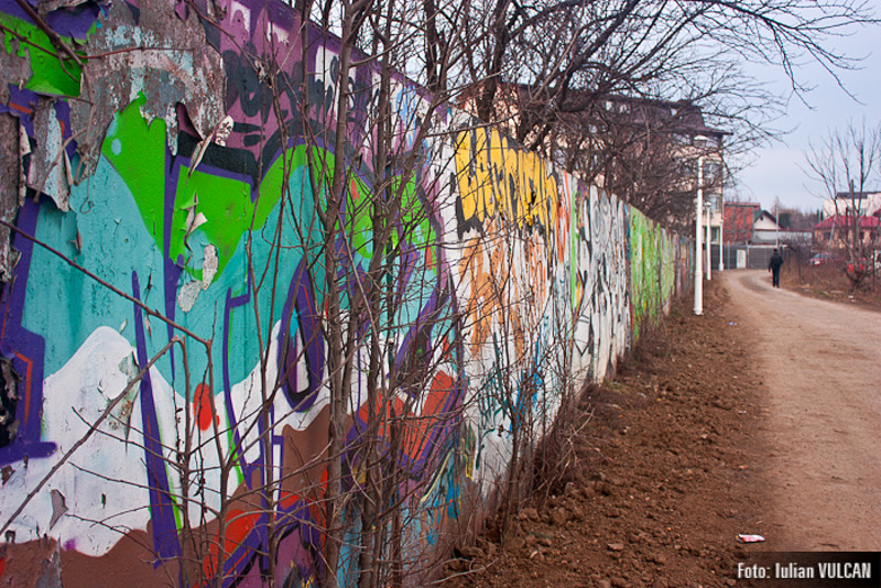 boschestul_bucurestiului_foto-by-iulian-vulcan-37