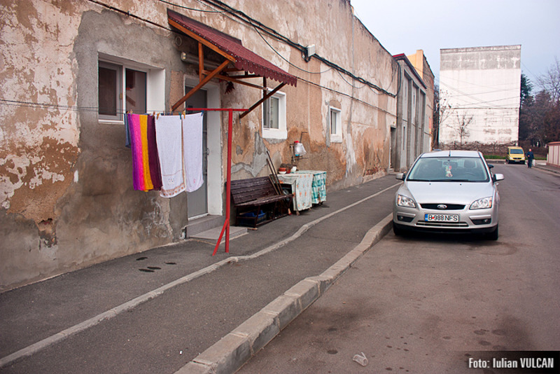 boschestul_bucurestiului_foto-by-iulian-vulcan-39