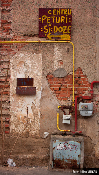 boschestul_bucurestiului_foto-by-iulian-vulcan-40