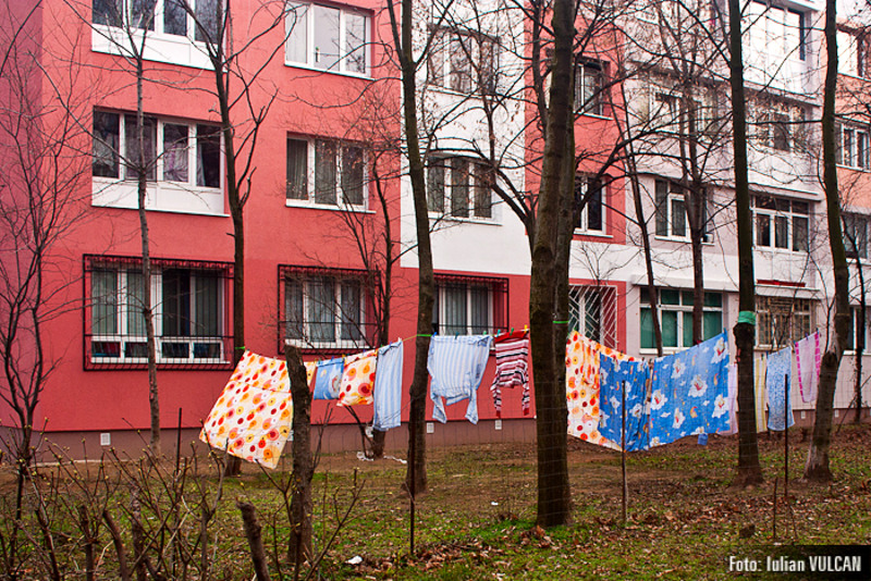 boschestul_bucurestiului_foto-by-iulian-vulcan-43