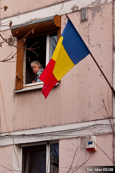 boschestul_bucurestiului_foto-by-iulian-vulcan-47