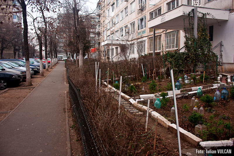 boschestul_bucurestiului_foto-by-iulian-vulcan-50