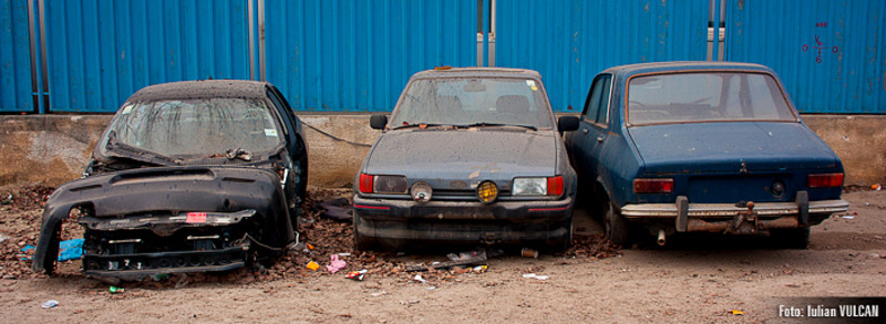 boschestul_bucurestiului_foto-by-iulian-vulcan-8