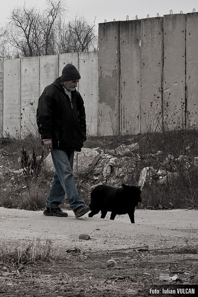 boschestul_bucurestiului_foto-by-iulian-vulcan-21