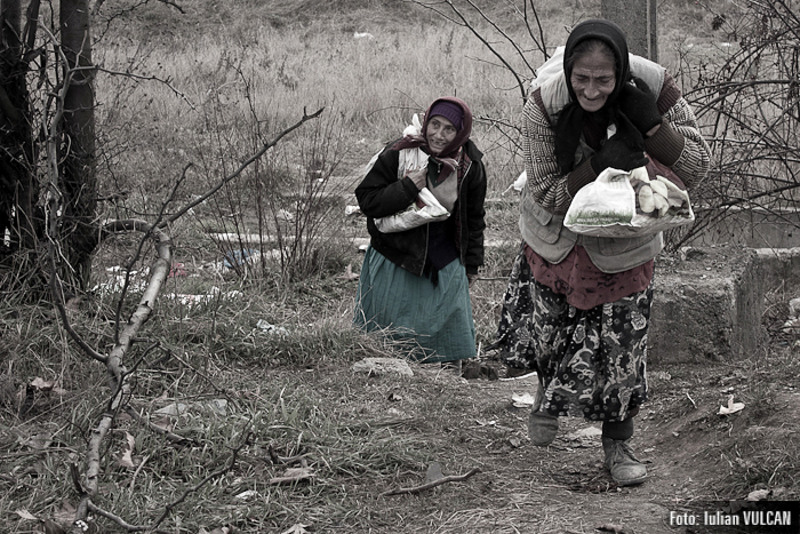 boschestul_bucurestiului_foto-by-iulian-vulcan-4