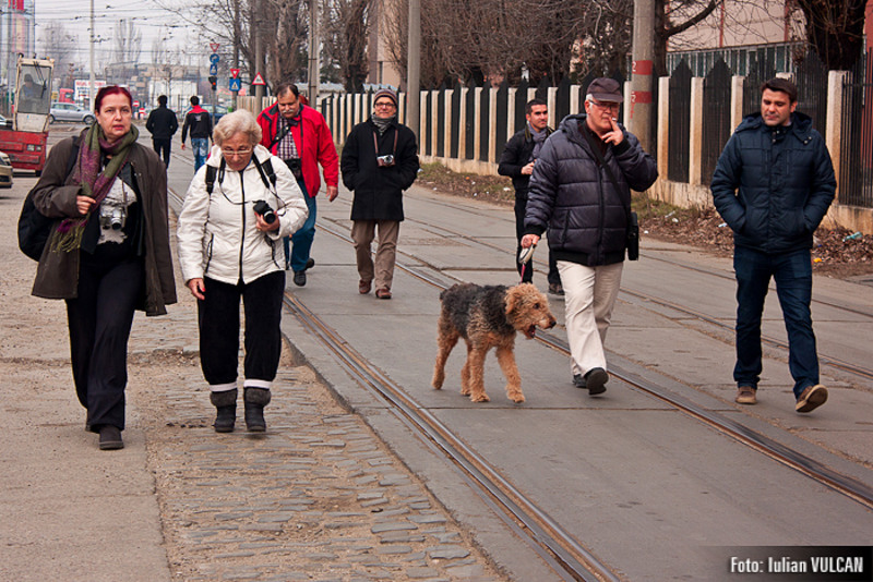 boschestul_bucurestiului_foto-by-iulian-vulcan-7