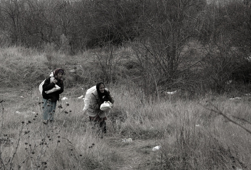 12020735374_8e55437f30_b