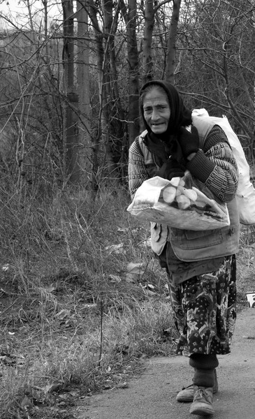 12021219086_9d2a4db65b_b