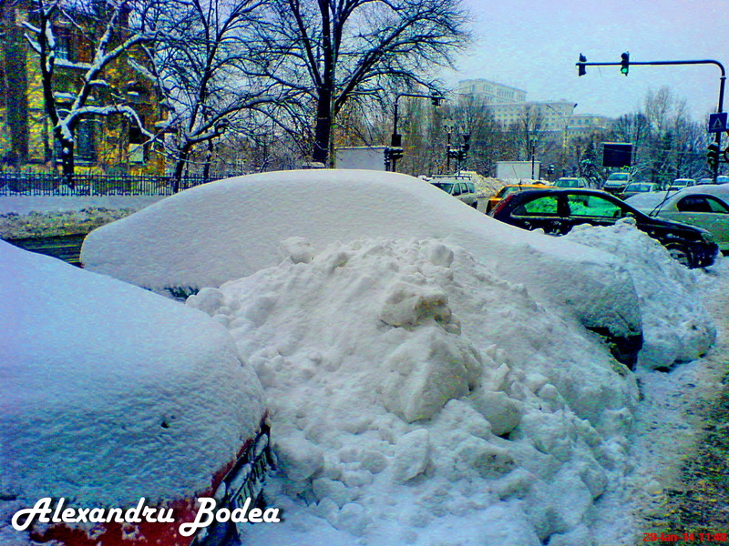 dsc09969_toate-s-albe