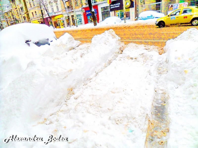 sam_1916parcare-parasita