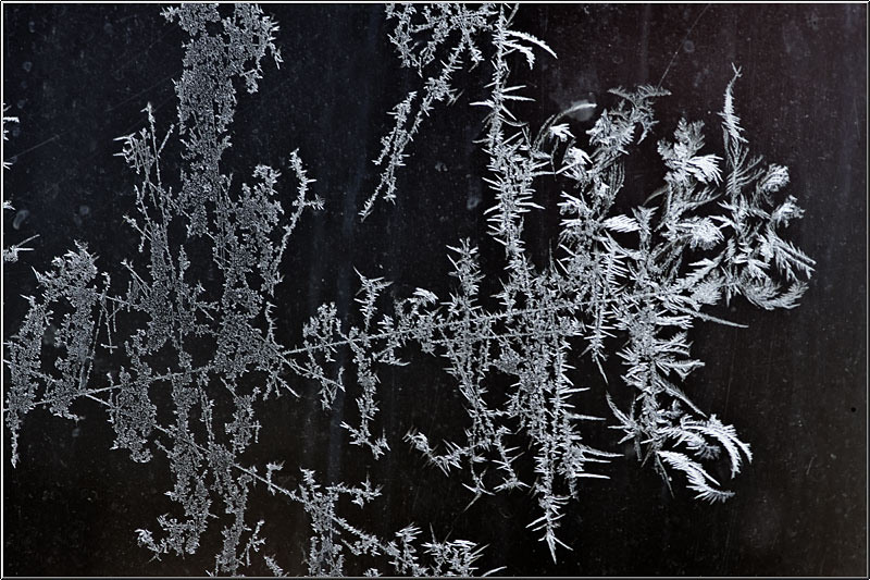 serbanvornicu_chiajna_01