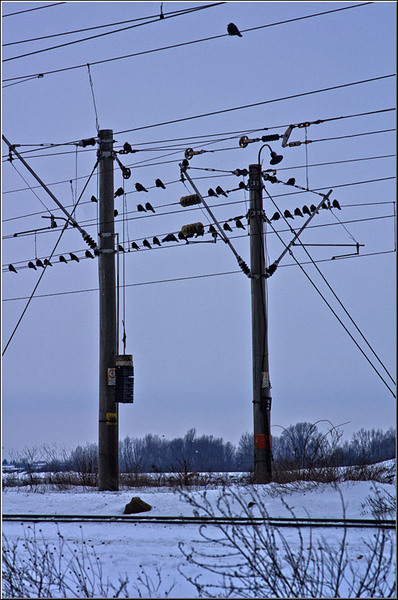 serbanvornicu_chiajna_02