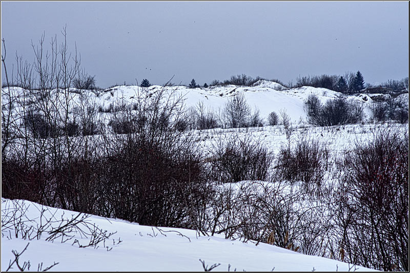 serbanvornicu_chiajna_06