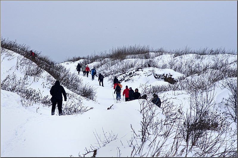 serbanvornicu_chiajna_07