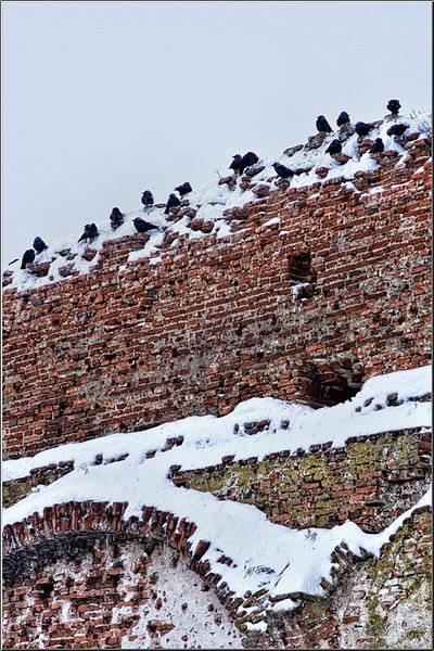 serbanvornicu_chiajna_16