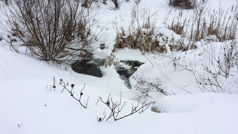 manastirea_chiajna_11