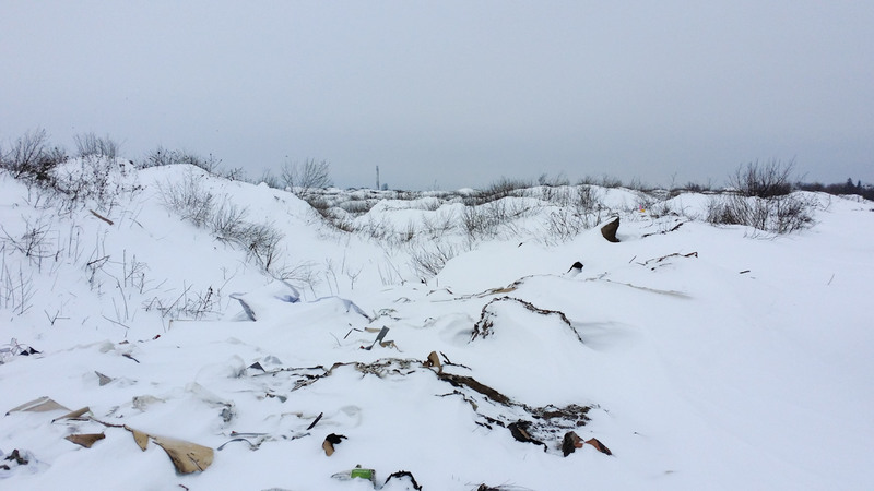 manastirea_chiajna_16