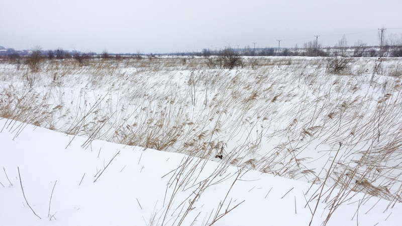 manastirea_chiajna_6