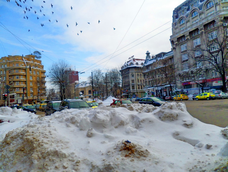 sam_2022_pta-rosetti