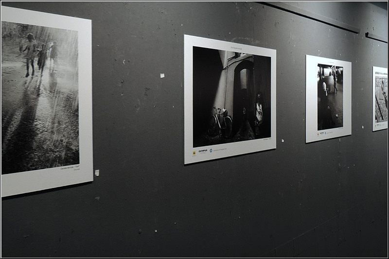 serbanvornicu_expofotostrada_02